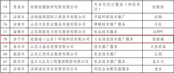 欣格瑞 以技术铸就品牌，化学清洗服务再获权威认可